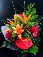 Ramo Variado nº 7 - 30€